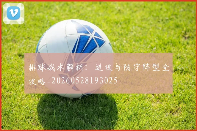 排球战术解析：进攻与防守阵型全攻略_20260528193025