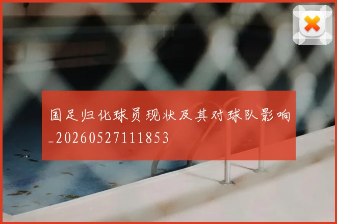 国足归化球员现状及其对球队影响_20260527111853